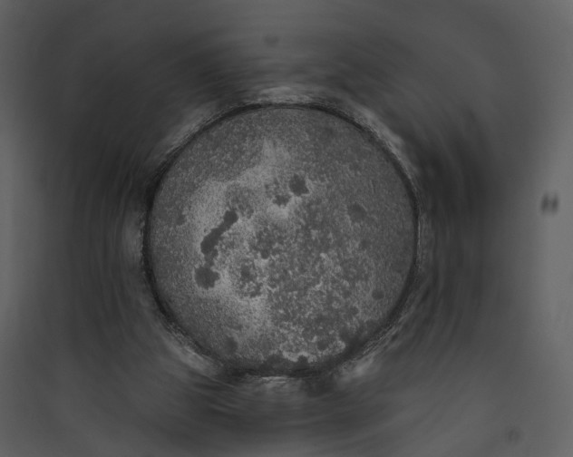 X0000089960153200707131544