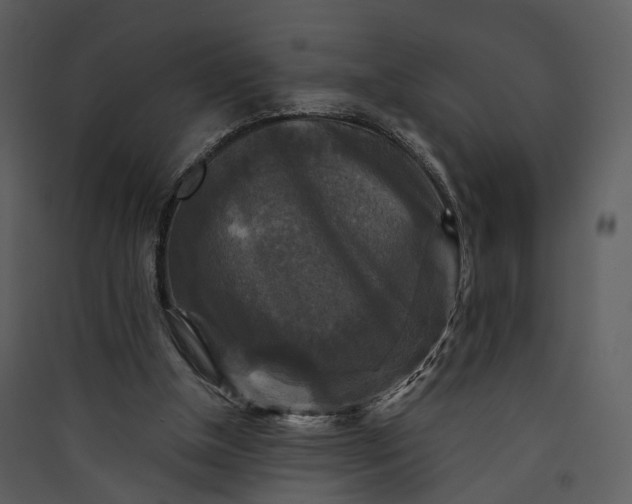 X0000089960154200707131545