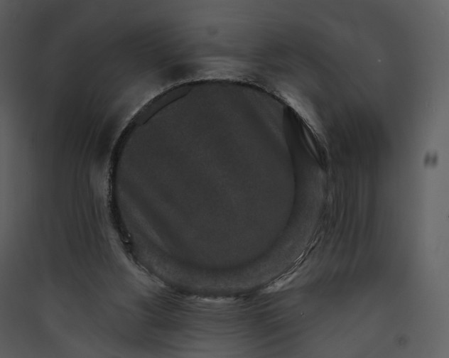 X0000089960156200707131545