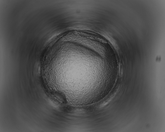 X0000089960157200707131545