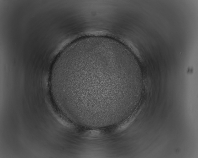 X0000089960159200707131545