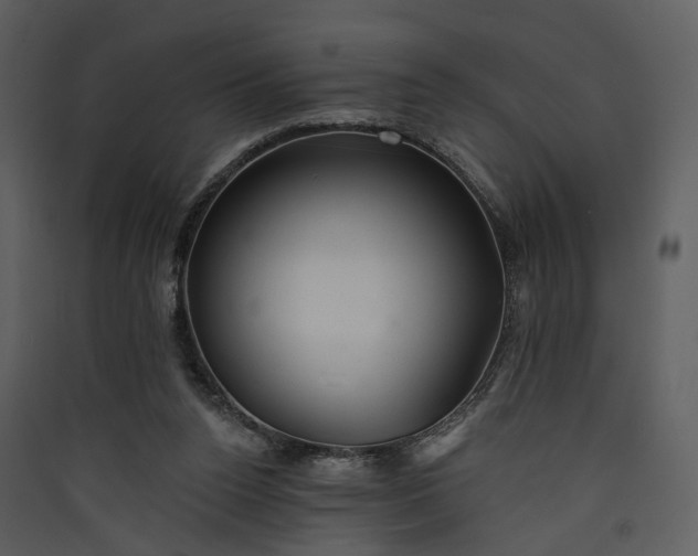 X0000089960160200707131545