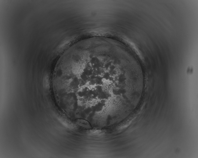 X0000089960161200707131545