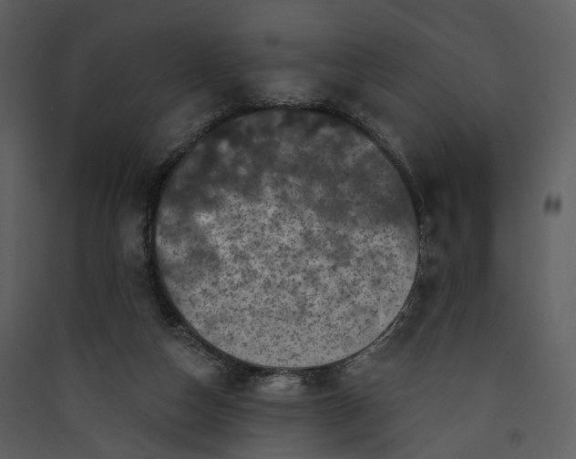 X0000089960162200707131545