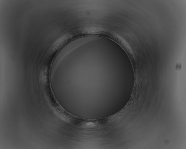 X0000089960163200707131545