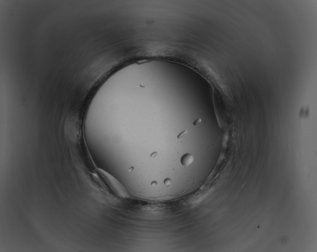 X0000089960164200707131545