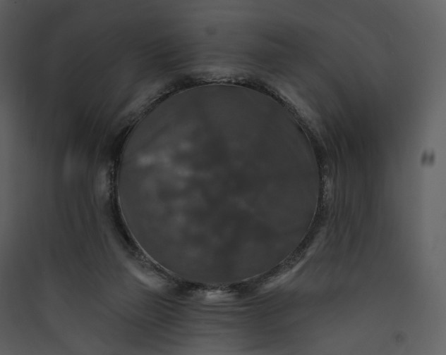 X0000089960165200707131545