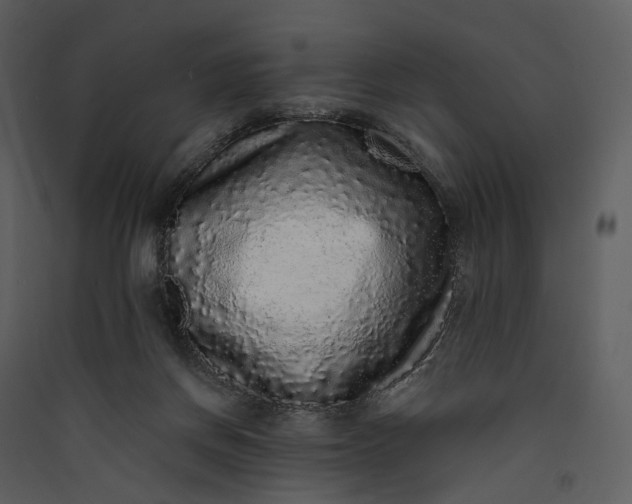 X0000089960166200707131545