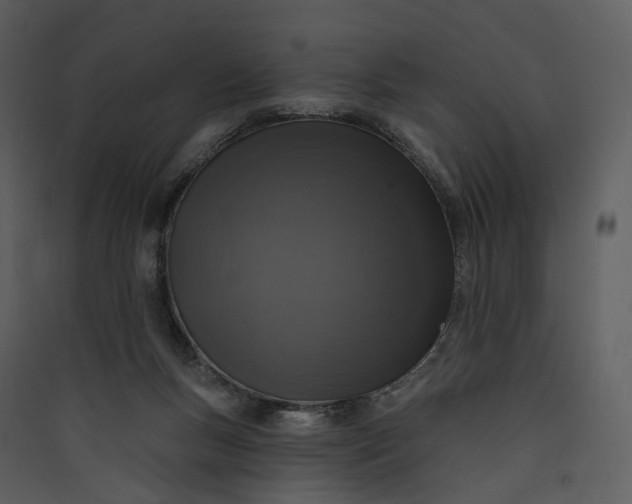 X0000089960167200707131545