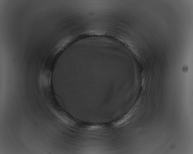 X0000089960168200707131545