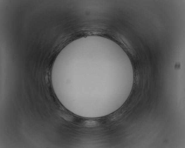 X0000089960169200707131545