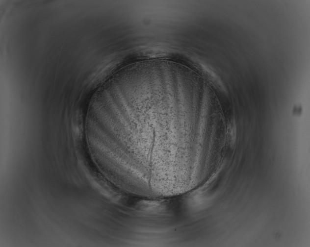 X0000089960170200707131545