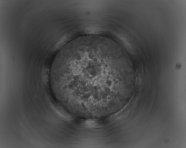 X0000089960171200707131545