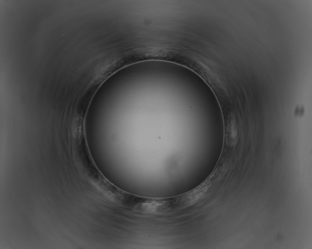 X0000089960172200707131545