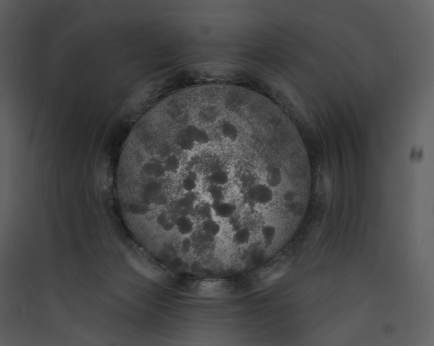 X0000089960173200707131545