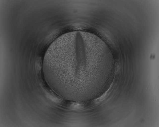 X0000089960174200707131545