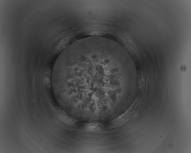 X0000089960175200707131545