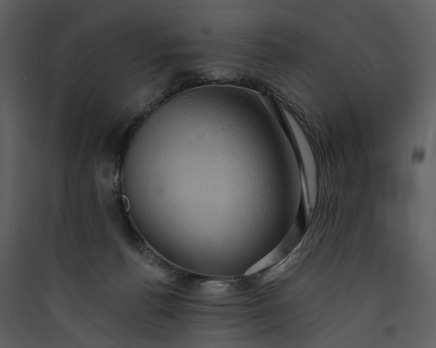 X0000089960176200707131545