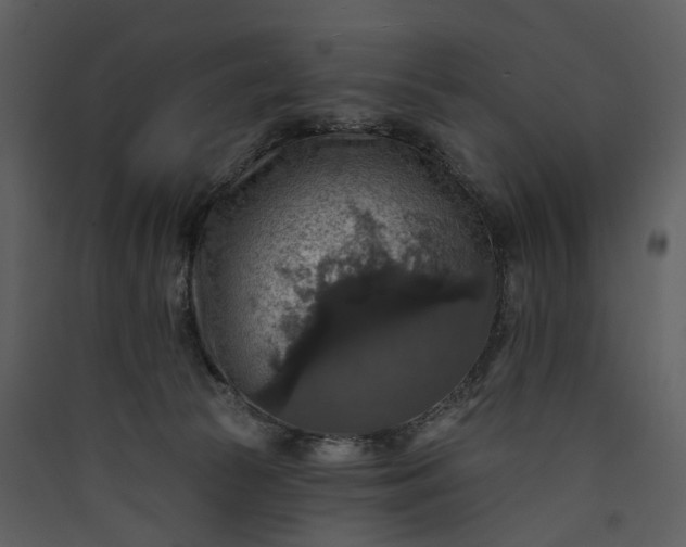 X0000089960177200707131545