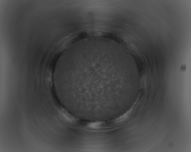 X0000089960178200707131545