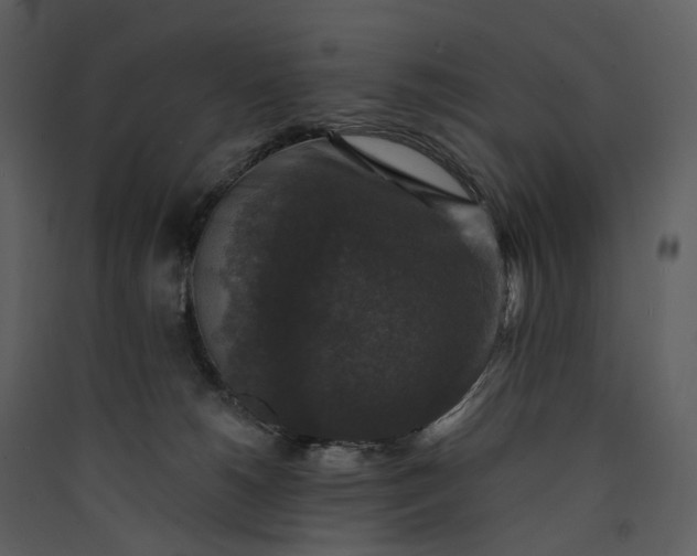 X0000089960180200707131545