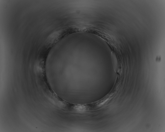 X0000089960181200707131545