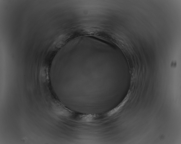 X0000089960182200707131545