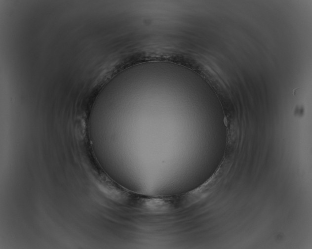 X0000089960183200707131545