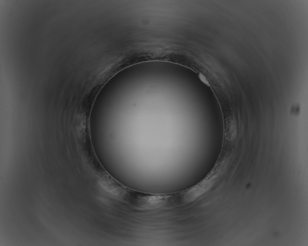 X0000089960184200707131545