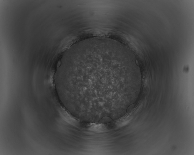 X0000089960185200707131545