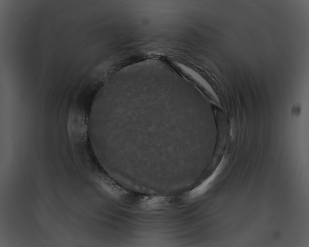 X0000089960186200707131545