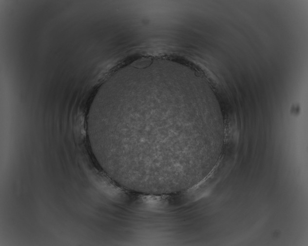 X0000089960187200707131545