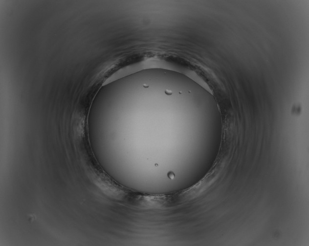 X0000089960188200707131545