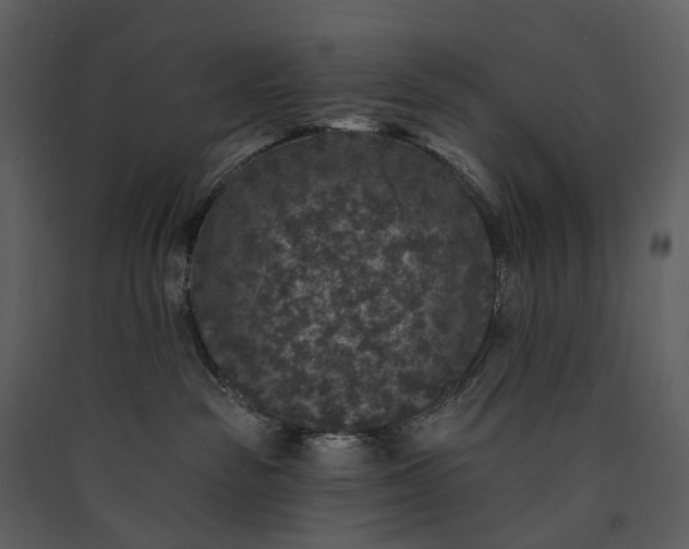 X0000089960189200707131545