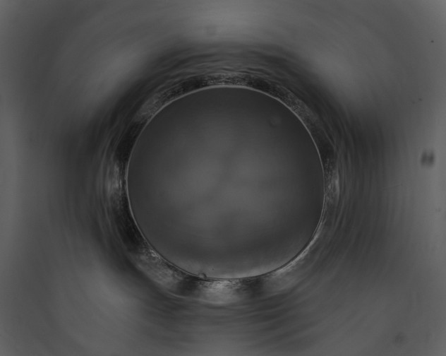 X0000089960191200707131545