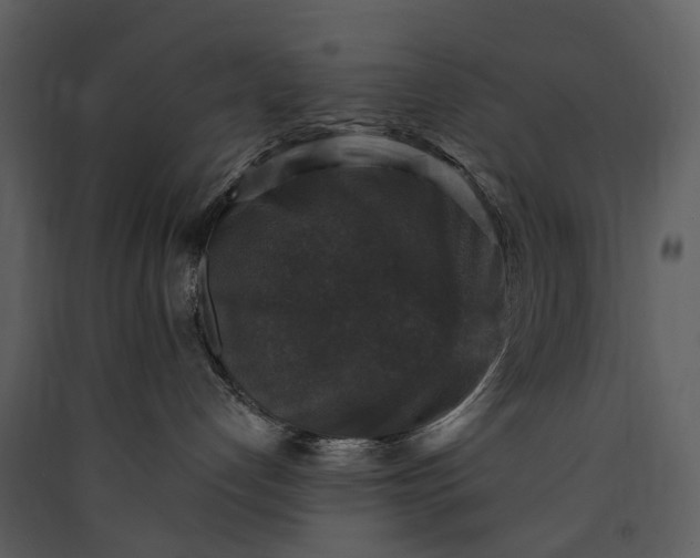 X0000089960192200707131545