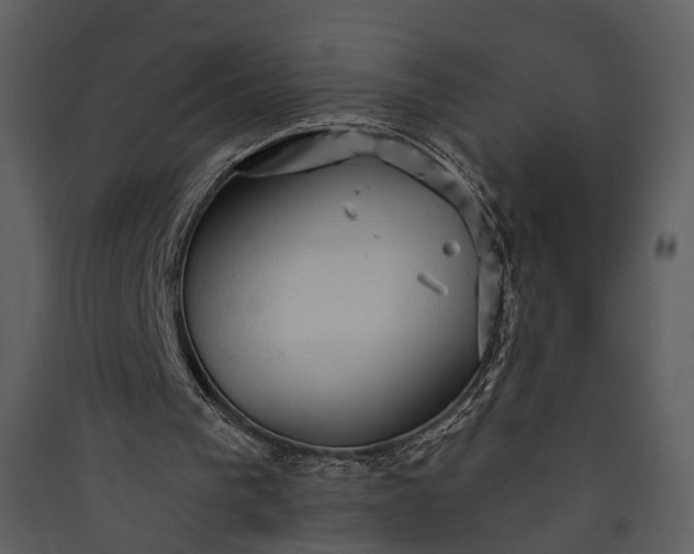 X0000089960193200707131544