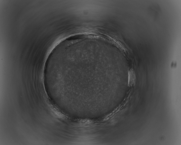 X0000089960195200707131544