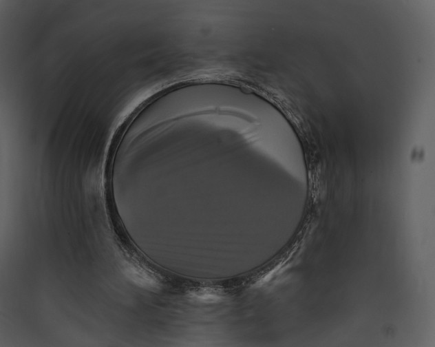 X0000089960196200707131544