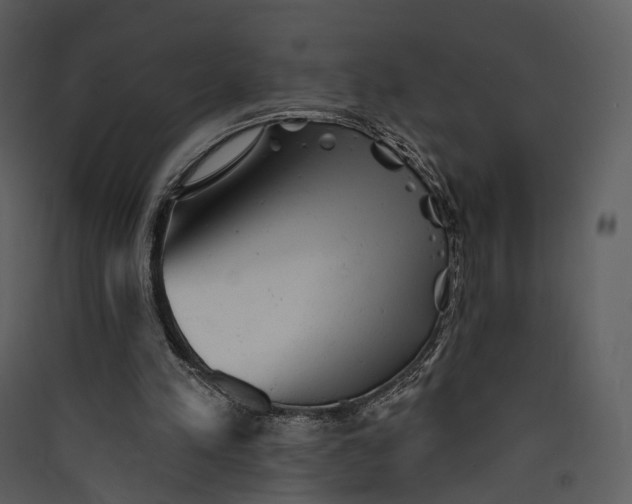 X0000089960197200707131544
