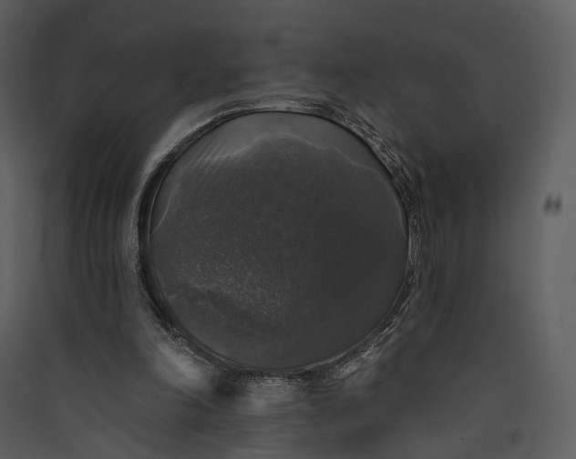 X0000089960198200707131544