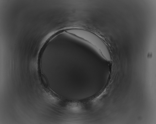 X0000089960200200707131544