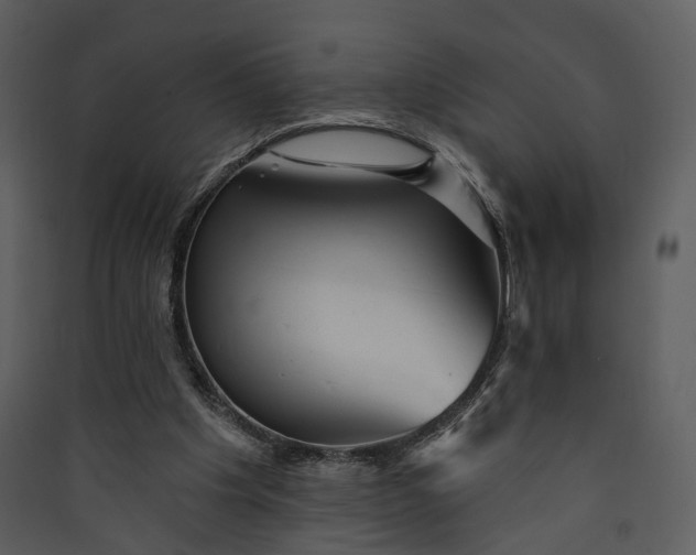 X0000089960201200707131544