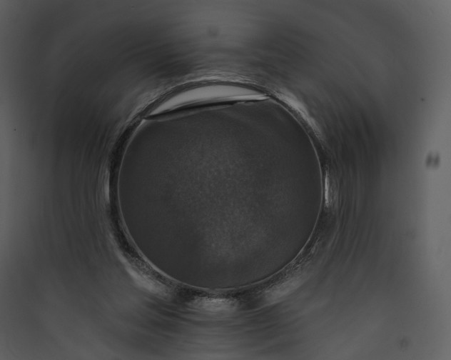 X0000089960205200707131544