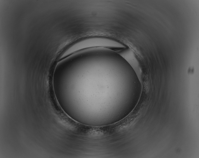 X0000089960207200707131544