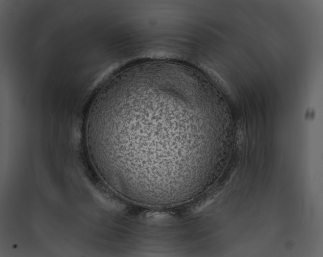 X0000089960208200707131544