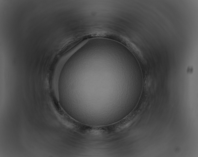 X0000089960209200707131544