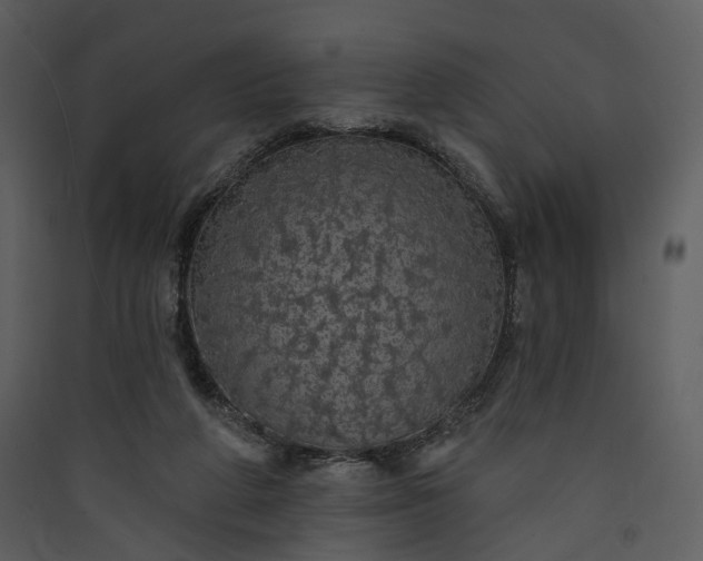 X0000089960210200707131544