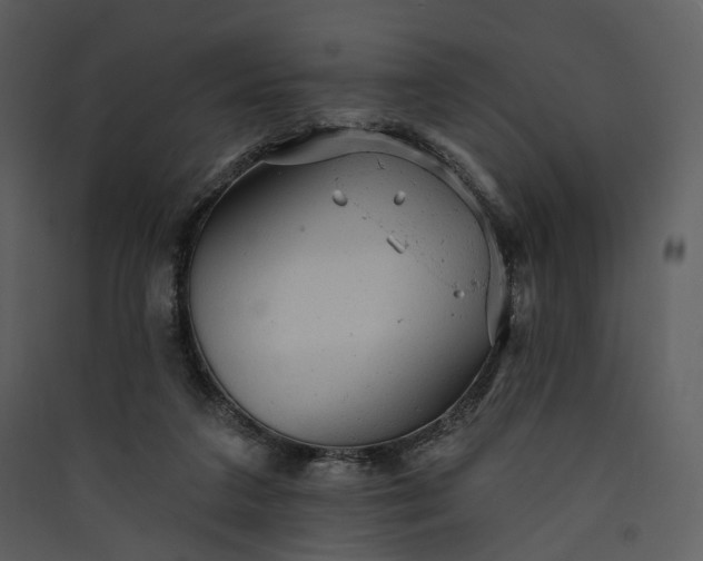 X0000089960211200707131544