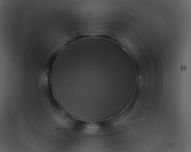 X0000089960214200707131544